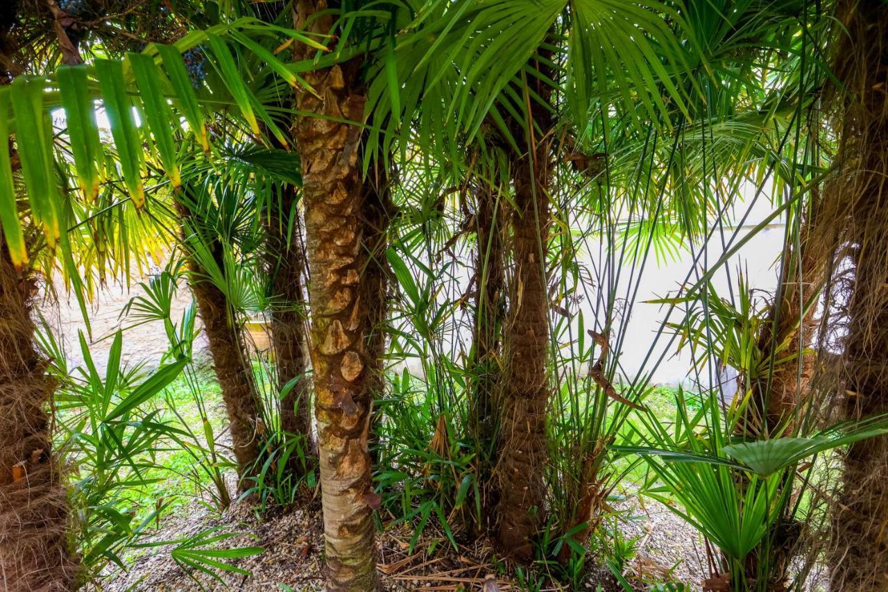 Le Cordon Bleu # Vieux-Cognac # Jardin Exterior foto